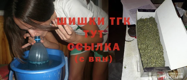 сатива Богородицк