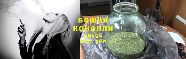 PSILOCYBIN Богданович