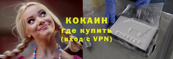 гидра Тайга