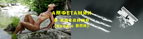 PSILOCYBIN Богданович