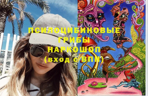 дживик Тавда