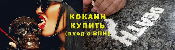 дживик Тавда