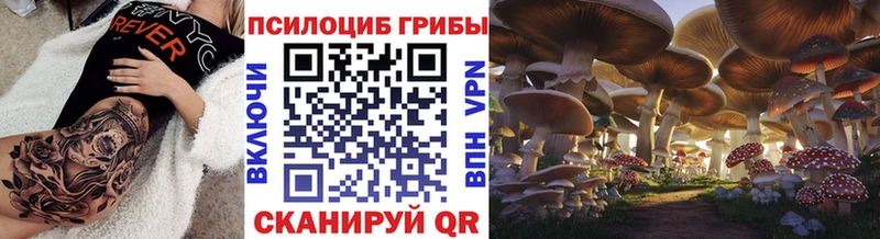 Галлюциногенные грибы Psilocybe  Кировград 
